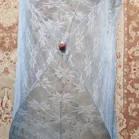 گهواره، روروک، پشه بند|اسباب و اثاث بچه|شیراز, اصلاحنژاد|دیوار