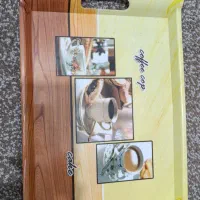 سینی پذیرایی|ظروف سرو و پذیرایی|بهبهان, |دیوار