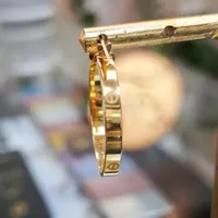 گوشواره کارتیه لاو بدون اجرت ومالیات فقط با ۶ درصد|جواهرات|رشت, فلسطین|دیوار