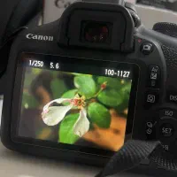 دوربین کنونcanon 2000D