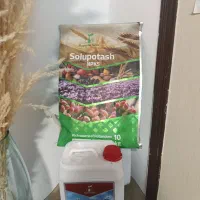 محلول پاشی زاج آب|خدمات باغبانی و درختکاری|مشهد, رضاشهر|دیوار