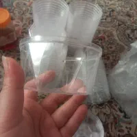 ظرف درب دارتلقی|ظروف نگهدارنده، پلاستیکی، یک‌بارمصرف|قم, نوبهار|دیوار