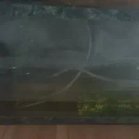 تنگ یا آکواریوم ماهی