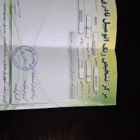 پراید 131بدون رنگ|خودرو سواری و وانت|رشت, فلسطین|دیوار
