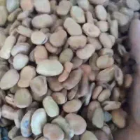 باقلا|عمده‌فروشی|رشت, سعدی (تختی)|دیوار