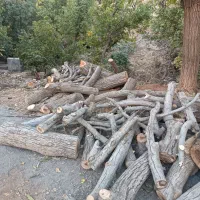 چوب|خدمات باغبانی و درختکاری|پاوه, |دیوار