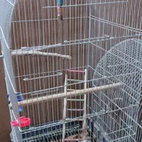 دو عدد قفس بزرگ طوطی و عروس هلندی.