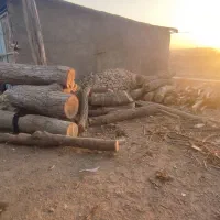 چوب بری وچوب فروشی سید حسین|عمدهفروشی|ملکآباد, |دیوار