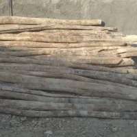 چوب|خدمات باغبانی و درختکاری|کوهدشت, |دیوار