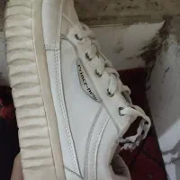 کفش مفت|کیف، کفش، کمربند|یونسی, |دیوار