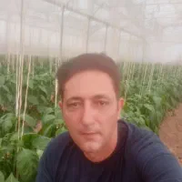 زمین گلخانه‌ای باپروانه