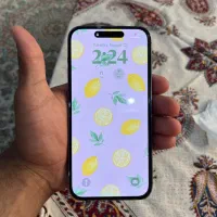آیفون 14 پرو مکس