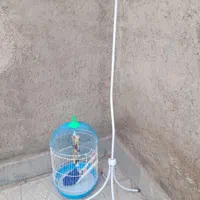 قفس آویز پرنده