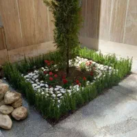 کاش باغچه حرص درخت کفبردرخت لوله کشی باغ وباغچه