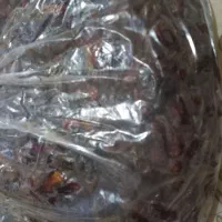 خرمای جهرمی