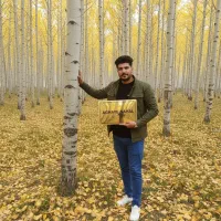 قرارداد فروش صنوبر کسب درآمد با بازگشت سرمایه بالا|خدمات باغبانی و درختکاری|سنندج, |دیوار