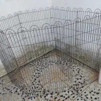پارک سگ و گربه