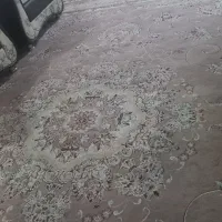 فرش ۱۲متری|مبلمان خانگی و میز عسلی|قم, چهل درخت‎|دیوار