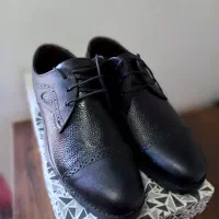 کفش چرمی|کیف، کفش، کمربند|اهر, |دیوار