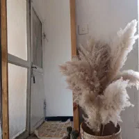 آینه قدی تمام چوب مدل گنبدی