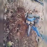 شخم زدن زمین با تیلر 14اسب