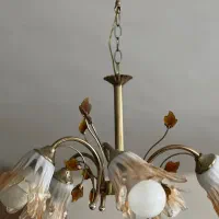 لوستر پذیرایی