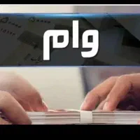 ضامن وام میشم رتبه C2