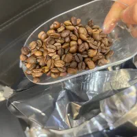 قهوه ۷۰ عربیکا درجه یک (دان و اسیاب)