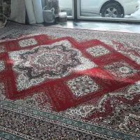 فرش ۷۰۰شانه اصل|فرش|سردشت, |دیوار