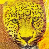 آلبوم اسکناس|کلکسیون سکه، تمبر، اسکناس|شهرکرد, |دیوار