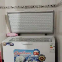 فریزر صندوقی اورست