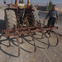 پنجه قازی درجه یک