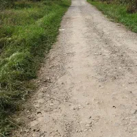 زمین مسکونی با جواز 290 متر|فروش زمین و ملک کلنگی|شفت, |دیوار
