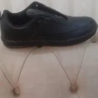 کتونی زنانه و مردانه|کیف، کفش، کمربند|شاهدشهر, |دیوار