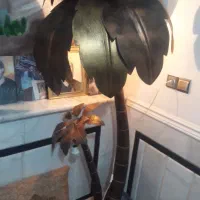 اباژور ۲متری