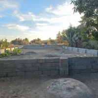 زمین مسکونی نخلستان ۵۱۲ متر|فروش زمین و ملک کلنگی|کهنوج, |دیوار