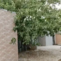 فروش باغ ۲۰۰۰ متری بهمن