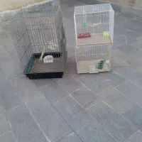 فروش قفس کاسکو قفس قناری دو عدد