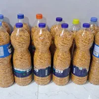 سیرداغ چیپسی|خوردنی و آشامیدنی|بهشهر, |دیوار