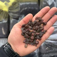 کشمش گوشتی|عمدهفروشی|همدان, |دیوار