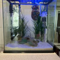ست کامل آکواریوم با تجهیزات حرفهای|ماهی|تهران, قیطریه|دیوار