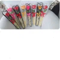 گل ربانی زیبا