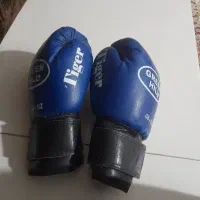 دستکش بوکس GREEN HILL در حد نو