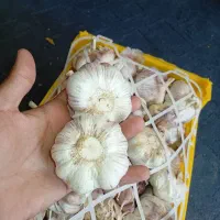سیر همدان لوکس