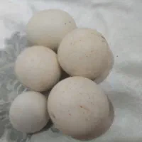 سنگ آسیاب|کلکسیون اشیاء عتیقه|جهرم, |دیوار