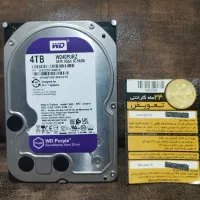 هارد ۴ ترا بایت بنفش اصلی نو نو