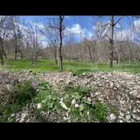 فروش باغ میوه|فروش زمین و ملک کلنگی|مشهد, کارده|دیوار