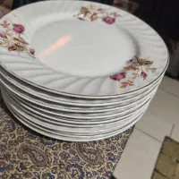 بشقاب پلو خوری گل سرخی|ظروف سرو و پذیرایی|محمدیه-قزوین, |دیوار