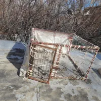 گنجه کفتر و مرغ|لوازم جانبی حیوانات|خوانسار, |دیوار