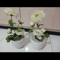 گل گلدان‌ گلدون  پایه گل|گل مصنوعی|زاهدان, |دیوار